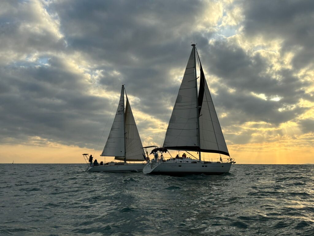 societe-nautique-voile-02